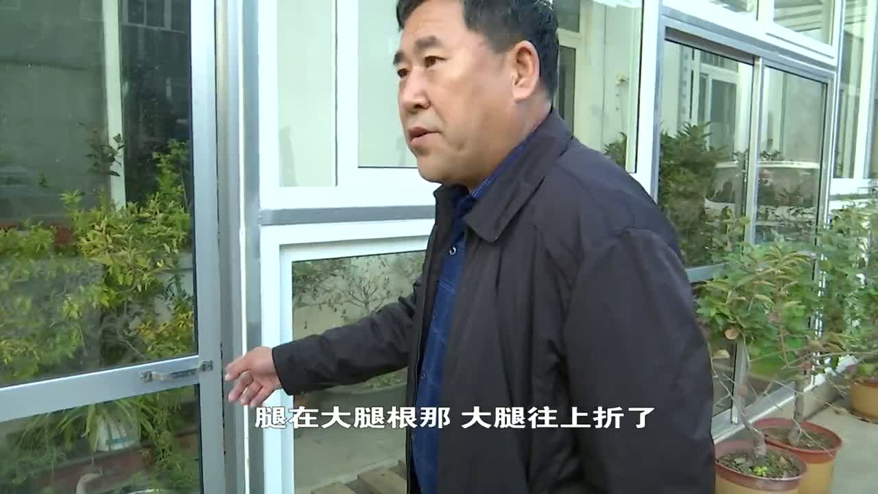 離群的大雁受傷遺落煙臺一隅 南山公園正在進行救治