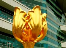 廣州、珠海、香港、澳門、桂林陽朔、興坪漁村、韶山專列10日游