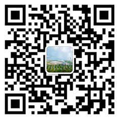 qq圖片20191206165211