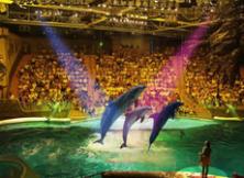 大連、旅順、發現王國純玩休閑三日游