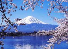 嘉華旅游---日本本州六日游（煙臺起止，東航含春節(jié)）