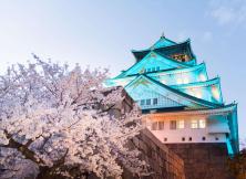 日本高品6日游 日本高品6日游