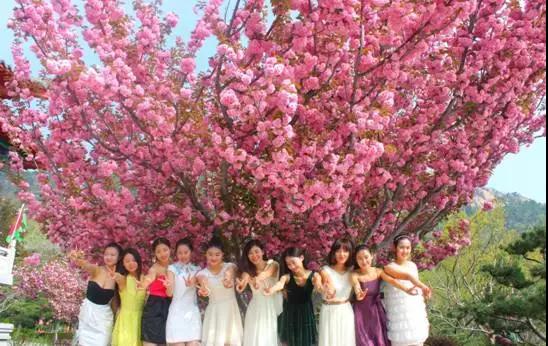 圣誕是“洋節(jié)” 元旦是自己的 石島赤山3天假期特惠！