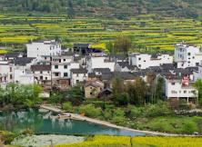 【一次跨兩省】鳳凰源大峽谷、婺源篁嶺、屯溪、糕餅博物館、采茶體驗花開婺源雙飛4日游