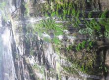 【9月】網紅杏花源、慶州古城大巴二日游 【9月】網紅杏花源、慶州古城大巴二日游