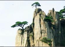 【國慶假期】九華山+大美黃山+第一秀水千島湖+桃花源里西遞、山水九華純玩雙飛五日游