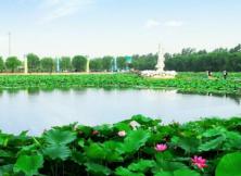 林海生態園（濱海國家濕地公園） 超值一日游