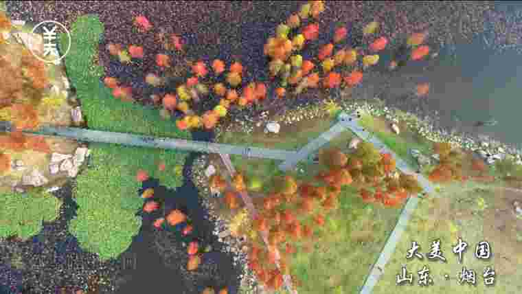 來(lái)煙臺(tái)，感受北緯37°的深秋浪漫