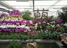 {特價，三月}蘭陵+尼山圣境休閑二日游