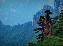 【11月游黃山】醉美婺源+世界雙遺產黃山+桃花源里人家西遞+屯溪老街、黃山印象純玩雙飛四日游