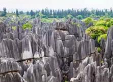 悅動云南-昆明?大理?麗江?版納四飛一動8日游