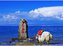 嘉華旅游三八節特惠，當天報名直降380元！青海西藏最惠玩?山東成團雙臥12日