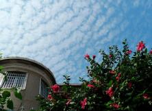 廈門、鼓浪嶼、土樓、武夷山、九曲溪漂流純玩雙飛五日游 廈門、鼓浪嶼、土樓、武夷山、九曲溪漂流純玩雙飛五日游