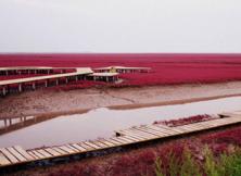 遼寧盤錦紅海廊道、鞍山千山、丹東鴨綠江口，中朝邊境純玩雙船五日游