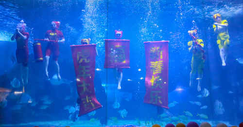 旅游過大年！蓬萊八仙過海度假區掀起闔家游熱潮