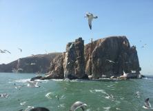 煙臺周邊天天發—蓬萊、長島、威海一日二日游