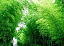 【2021端午假期】無(wú)極鬼谷、日照竹洞天、月湖山水、東夷小鎮(zhèn)休閑二日游 【2021端午假期】無(wú)極鬼谷、日照竹洞天、月湖山水、東夷小鎮(zhèn)休閑二日游