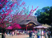 9.20青島-福岡-濟州-青島4晚5日游