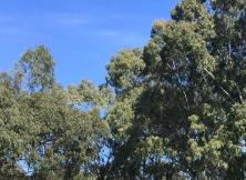 百魅江南--華五+道教名山茅山+黿頭渚+三水鄉烏鎮+西塘夜游夫子廟純玩雙飛六日游 百魅江南--華五+道教名山茅山+黿頭渚+三水鄉烏鎮+西塘夜游夫子廟純玩雙飛六日游