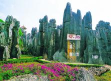 【云南】好奇云南雙飛六