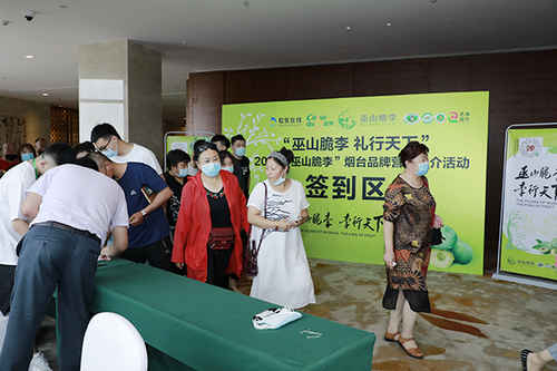 “李”行天下！“巫山脆李”煙臺營銷推介搭建消費扶貧新橋梁