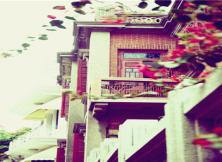 廈門鼓浪嶼+廈門大學+曾厝垵+廈門科技館+惠和石雕+老院子五日游