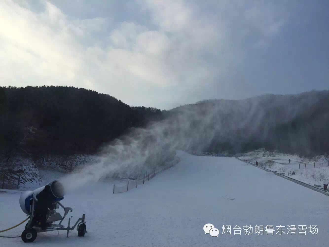 qq圖片20200122140939