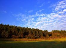 渝樂匯——遇見武隆純玩 天生三橋、仙女山、蚩尤九黎城、重慶市內五日游 渝樂匯——遇見武隆純玩 天生三橋、仙女山、蚩尤九黎城、重慶市內五日游
