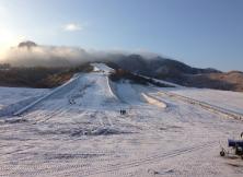 嘉華旅游~林山滑雪場一日游