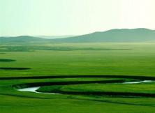 煙臺到內蒙古呼和浩特沙漠之約