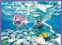 嘉華旅游——全線大堡礁之全方位海陸空澳新凱墨12日