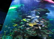 【7月周邊游】蓬萊極地海底世界一日游