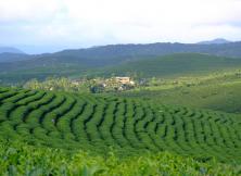 【專列】云南、貴州、張家界15日游