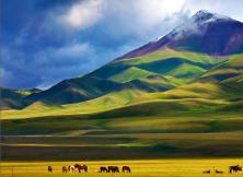 【醉美伊犁·杏花季】天山天池、奎屯大峽谷、賽里木湖、吐爾根杏花溝、伊寧賞杏花雙飛8日游