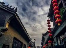 【十一月】濟南大明湖、動物園雙飛兩日游