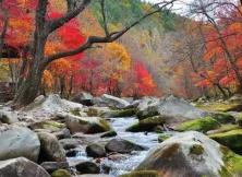 紅海灘、紅葉景觀大道、大地森林、五女山、鴨綠江深度賞紅葉之旅