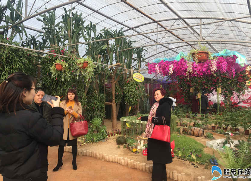 市民與家人一起入園賞花