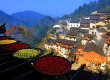 江西南昌、婺源、景德鎮、廬山、三清山、龍虎山、井岡山雙臥9日游 江西南昌、婺源、景德鎮、廬山、三清山、龍虎山、井岡山雙臥9日游