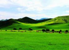 【暑假游壩上草原】河北皇家承德避暑山莊、木蘭圍場(chǎng)、穿越塞罕壩、國(guó)家1號(hào)風(fēng)景大道、塞外明珠烏蘭布統(tǒng)大草原+古北水鎮(zhèn)+草原民俗項(xiàng)目雙動(dòng)五日游