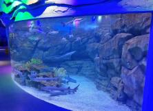 【春節假期】威海威高海洋公園一日游