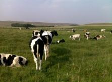 阿爾山、巴彥胡碩草原、滿洲里、額爾古納、根河濕地全景雙飛六日游