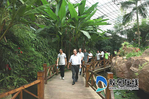 龍岡旅游：全力以赴創5A  煥然一新迎驗收