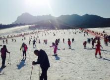 1.1放假第二天129元全天暢游林山滑雪場~