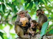 嘉華旅游-享趣海南雙飛六日游