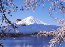 優樂系列-本州全景6日游 優樂系列-本州全景6日游