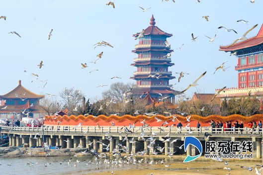 女神節(jié)來八仙過海度假區(qū) 寵你沒商量！