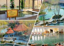 【溫泉季】青島白鷺湖溫泉一日游