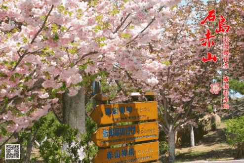 微信截圖_20190410125806