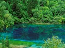 成都、九寨、牟尼溝雙飛5日游