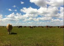 內蒙古烏蘭布統大草原、樺木溝、蛤蟆壩、承德避暑山莊雙高鐵五日游